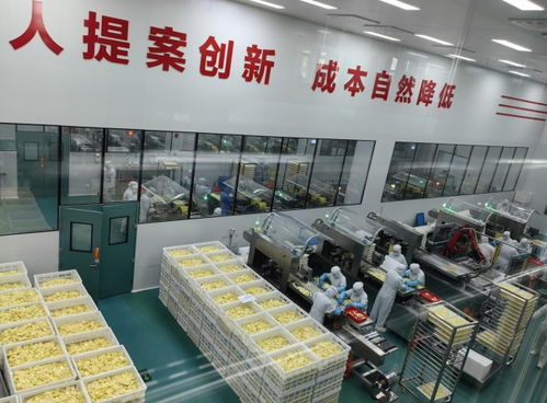 內蒙古草原紅牛奶酪工廠建設加速，2026年投產將創造1.5億元年產值